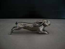 Miniatuur haas konijn - VERKOCHT