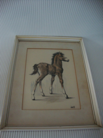 Schilderij pony / paard - VERKOCHT