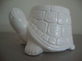 Bloempotje schildpad - VERKOCHT