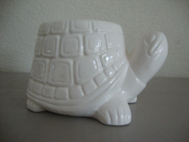 Bloempotje schildpad - VERKOCHT