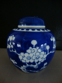 Gemberpotje prunus - blauw wit - VERKOCHT