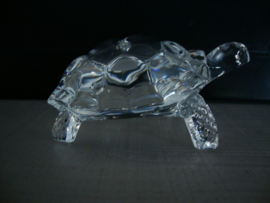 Glazen schildpad - VERKOCHT