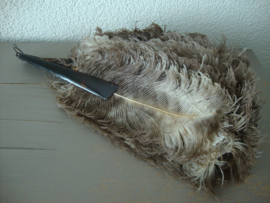 Art deco - schildpad waaier met struisvogelveren - VERKOCHT