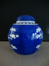 Gemberpotje prunus - blauw wit - VERKOCHT