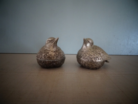 Peper- en zoutstel vogeltjes