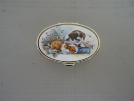 Pillendoosje - hond - poes - VERKOCHT