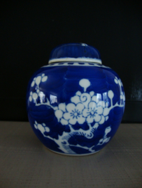 Gemberpotje prunus - blauw wit - VERKOCHT
