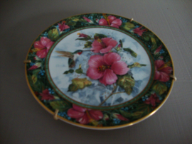 Wandbord Kolibri - The imperial Hummingbird - VERKOCHT