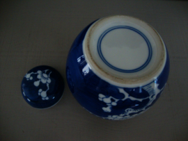 Gemberpotje prunus - blauw wit - VERKOCHT