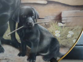 Wandbord - honden - labrador - Nigel Hemming -  VERKOCHT