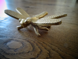 Libelle - goudkleurig