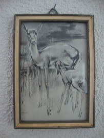 Prent H. van Meegeren - hertjes - VERKOCHT