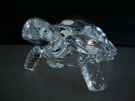 Glazen schildpad - VERKOCHT