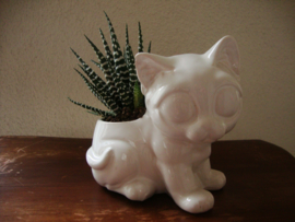 Bloempotje poes - VERKOCHT