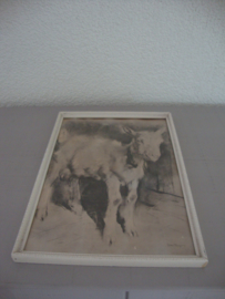 Prent H. van Meegeren - geitje - VERKOCHT