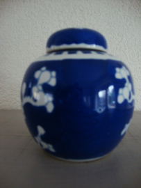 Gemberpotje prunus - blauw wit - VERKOCHT