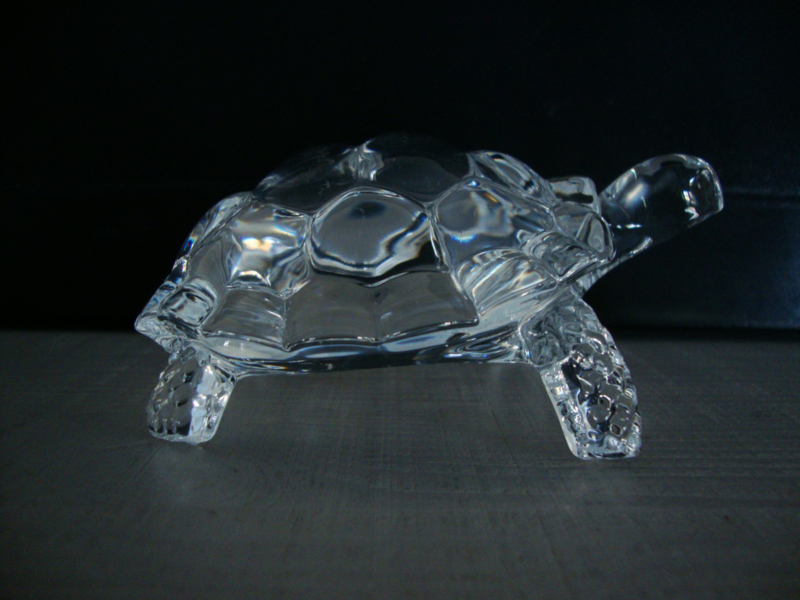 Ga op pad trechter Haalbaarheid Glazen schildpad - VERKOCHT | Verkocht Overig | Nova Vidas
