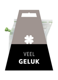 Thee in cadeauverpakking - veel geluk