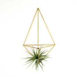 DIY wall planter Facet messing- Draadzaken