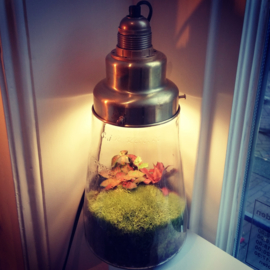 ecosysteem lamp Pickels - Spruitje