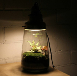 ecosysteem lamp Pickels - Spruitje