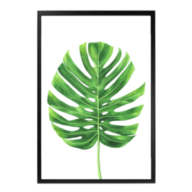 Pand label A5 kaart - Monstera