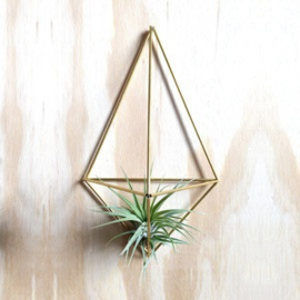 DIY wall planter Facet messing- Draadzaken