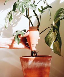 Plant waterdruppelaar 'Olla' - Terracotta