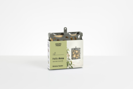 Hello Anna (window) - vetblok houder van gerecycled plastic