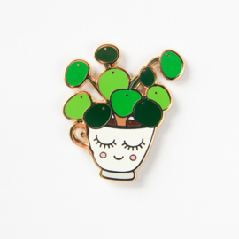 pin - pilea