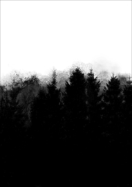 Helianthe's Kaartenhuis - A4 print donkere bomen 1