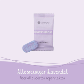 Cleaning tabs navulling per stuk of set van 6 ; badkamer-, keuken-, multi- of glasreiniger- preorder