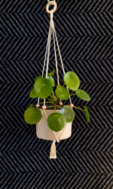 Minimalistische plantenhanger - verstelbaar