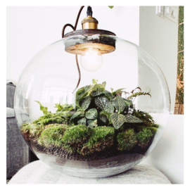 Terrarium met lamp - DEMETER