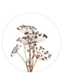 muurcirkel foto droogbloemen- 40 cm