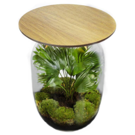 Ceres eiken terrarium tafel - LIVISTONA