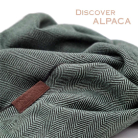 Alpaca plaid 'fishbone' - green