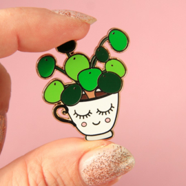 pin - pilea