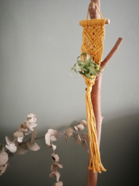 macrame hanger inclusief luchtplant