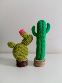 Gehaakte cactusjes in houten potje - set van 2