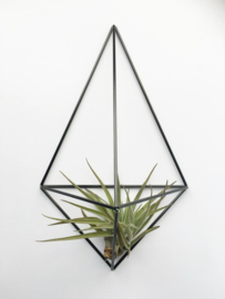 DIY wall planter Facet carbon- Draadzaken