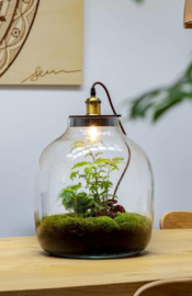 Terrarium met lamp - HEBE