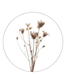muurcirkel gedroogde bloemen - 20 cm