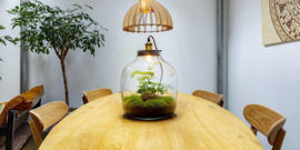 Terrarium met lamp - HEBE