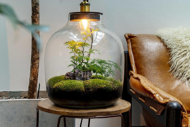 Terrarium met lamp - HEBE