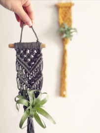 macrame hanger inclusief luchtplant