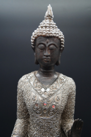 mooie staande buddha 50 cm