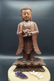 Standing Buddha 50 cm