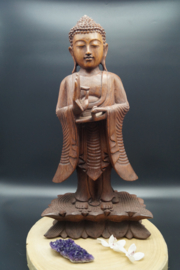 Staande Buddha 50 cm