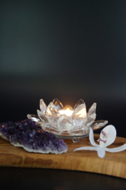 crystal thea light holder lotus flower